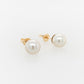 Pearl Abrolhos Akoya Round Stud Earrings