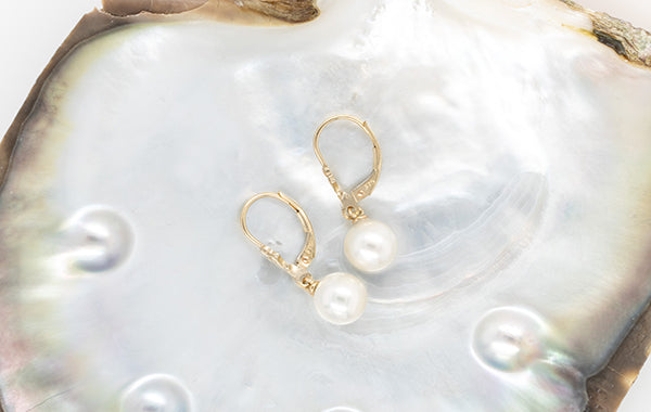 Pearl Akoya Continental Clasp Earrings